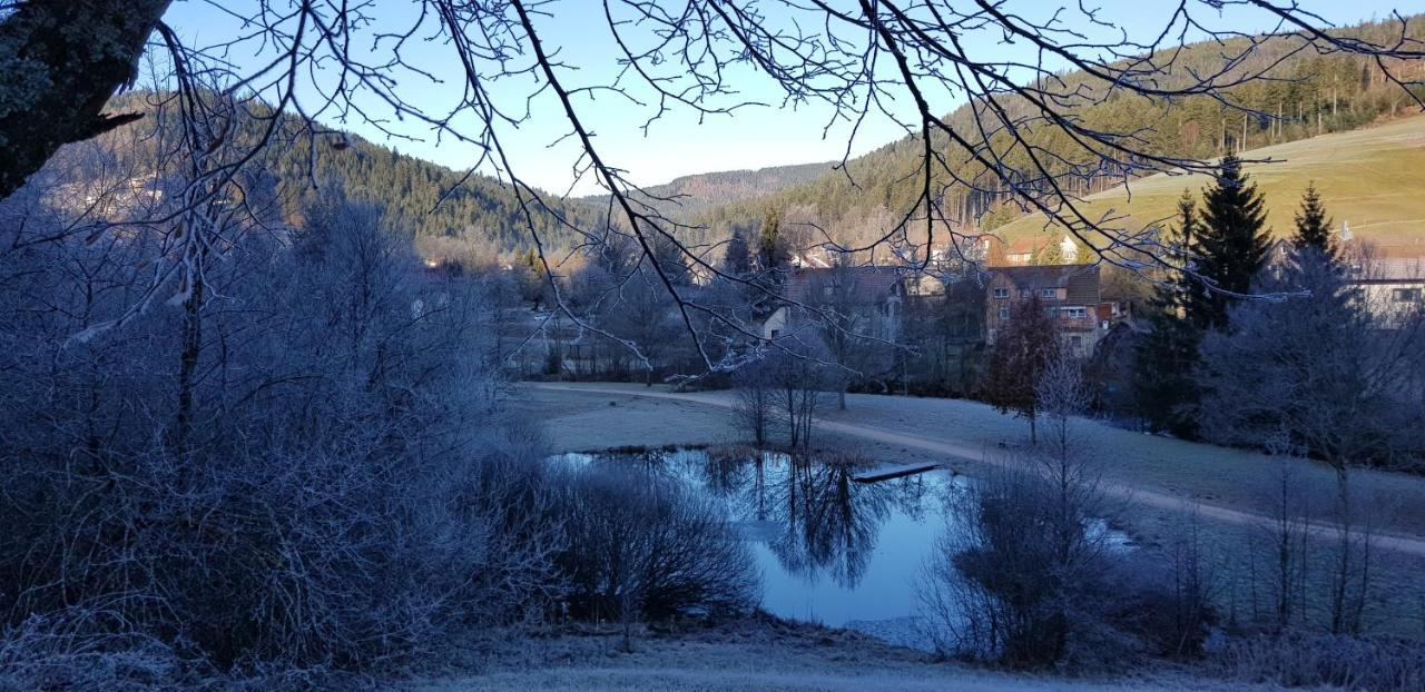 Ferienwohnung "Hirschlein" Im Schwarzwald Baiersbronn Exterior foto