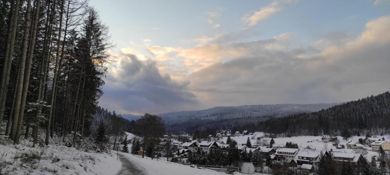 Ferienwohnung "Hirschlein" Im Schwarzwald Baiersbronn Exterior foto