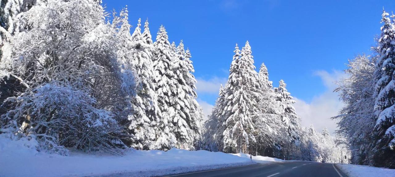 Ferienwohnung "Hirschlein" Im Schwarzwald Baiersbronn Exterior foto